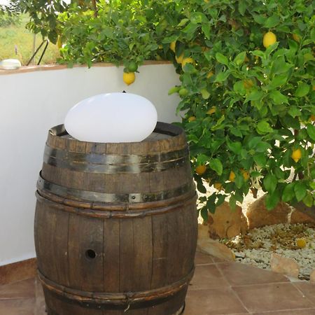 B&B Finca La Manchica Cartagena Eksteriør billede